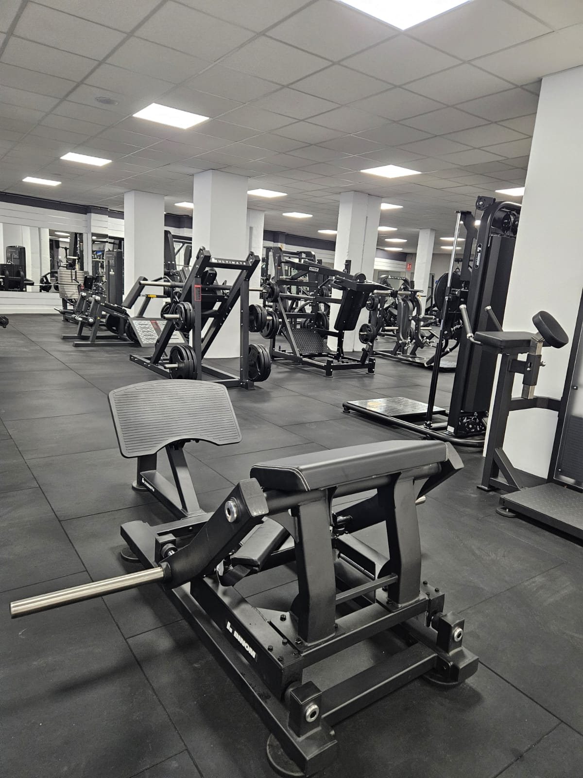 Gimnasio comercial, zona de fuerza