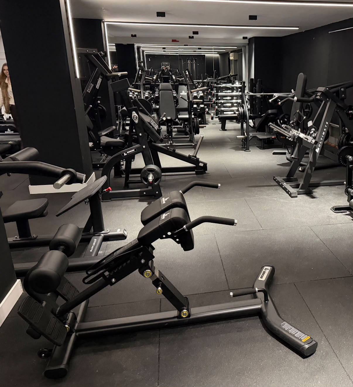 Gimnasio de fuerza, maquinas de carga